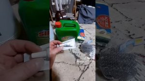 Купила для приюта и Снежка