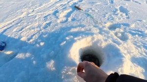 Рыбалка на жерлицы 9 и 11 января 2026.