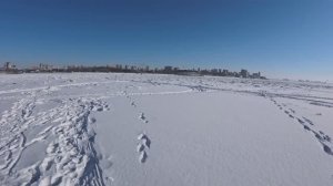 Зимняя рыбалка 13.01.2026 Проверка перемёта