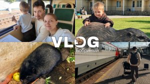 БОБРОНАРИУМ | ТУРИСТИЧЕСКИЙ ПОЕЗД «БОБРЕНОК» | ВЫХОДНОЙ