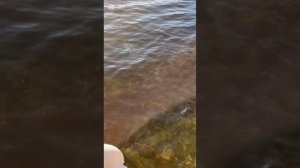 Песня - Путешествие по Армении 2026