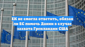 ЕК не смогла ответить, обязан ли ЕС помочь Дании в случае захвата Гренландии США