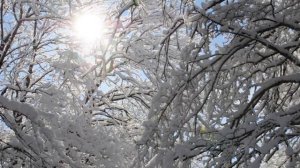 Вот и Старый Новый год! стихи - Виктор Михнев + SUNO