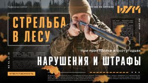 Пристрелка в охотугодьях: нарушения, штрафы и ответственность
