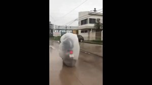 #смешныевидео -495