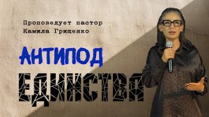 Антипод единства