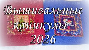 Мои вышивальные каникулы: старты финиши и процессы. Совиный лес, Freedom needle, vetlanka