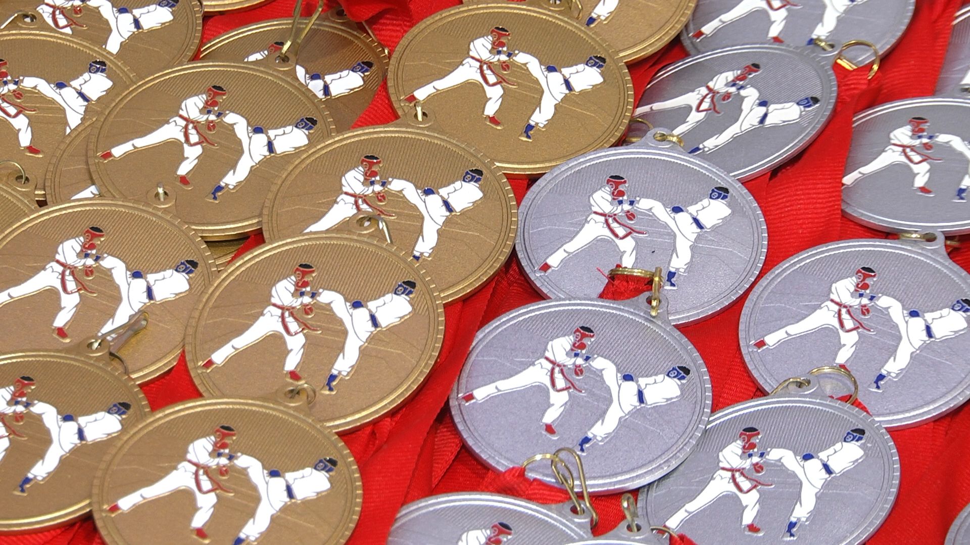 Рукопашники курганской спортшколы завоевали кубок «Факела» на областном турнире смотреть онлайн