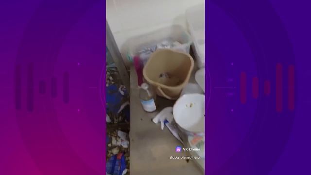 😭КОШМАР НАЯВУ смотреть онлайн