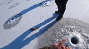 Зимняя рыбалка. Караси монстры. Жаркент 2026