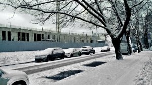 Формирование комфортной гродской среды