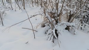 ЗИМА В ДОРОГЕ