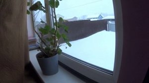 Простая жизнь в деревне. Пурга. По магазинам.