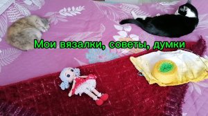 Мои вязалки. Чем отличается ангора от мохера? Советы про пряжу. Мои кошки.