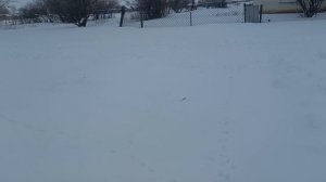 ТЯЖКАЯ СЕЛЬСКАЯ ЖИЗНЬ ЗИМОЙ.