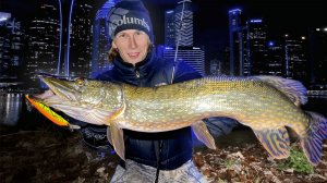 ГОРОДСКИЕ МОНСТРЫ! Где поймать трофей ночью?!