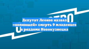 Депутат Леонов назвал «вопиющей» смерть 9 младенцев в роддоме Новокузнецка