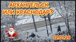 12/1 26 ВОТ МЫ И В АРХАНГЕЛЬСКЕ. УСНУЛИ ЛЕТО - ПРОСНУЛИСЬ ЗИМА. ПЫТАЮТ МЯСОМ. В МАГАЗИН ПО-СЕРЬЁЗКЕ.