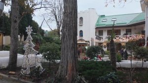 Алупка,  Крым,  январь 2026 года.