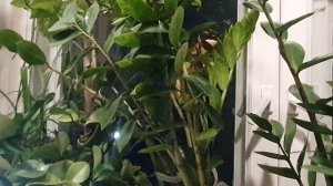 В минуты те...