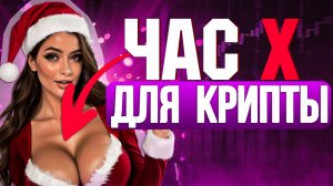 Торгуй Биткоином легко и просто - Мастер класс по тесту алгоритма