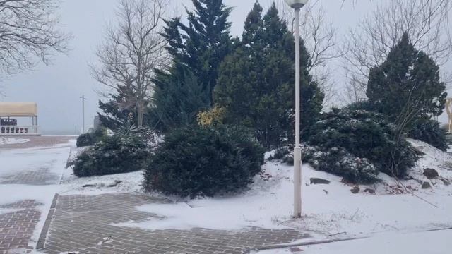 13 Января. 🏊♂️🚣Архипо-Осиповка. Холодно и ветрено. 😀 смотреть онлайн