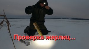 ПОМЕНЯЛИ ЖЕРЛИЦЫ НА ПОДЛЕДНЫЕ САМОЛОВКИ. ЗИМНЯЯ РЫБАЛКА.