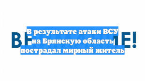 В результате атаки ВСУ на Брянскую область пострадал мирный житель