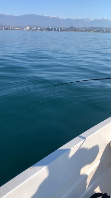 IMG_7575 смотреть онлайн