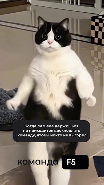 когда сам еле держишься, но приходится вдохновлять команду смотреть онлайн