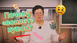 «Пупок воняет» — Что говорит запах из пупка?