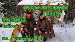 ОХОТА С РУССКОЙ ГОНЧЕЙ НА ЗАЙЦА Тайгой вл. Товпинец В.В.#охотасгончей#собака #животные #топ #hunting