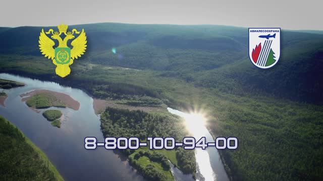 Берегите лесные ресурсы России смотреть онлайн