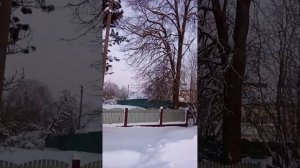 Моя деревня 🏡