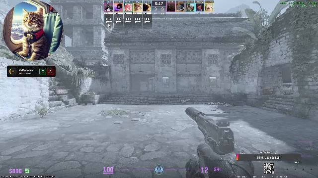 Faceit WW смотреть онлайн