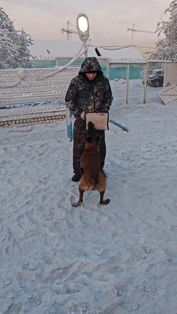 Весёлый дракончик