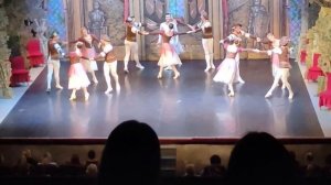 VID2026  Сегодня я был на Балете Лебединое озеро