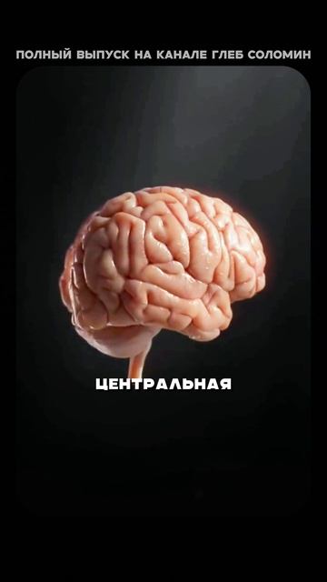 Жуткая правда про холодный душ | Бубновский | Полный выпуск на канале «Глеб Соломин» смотреть онлайн