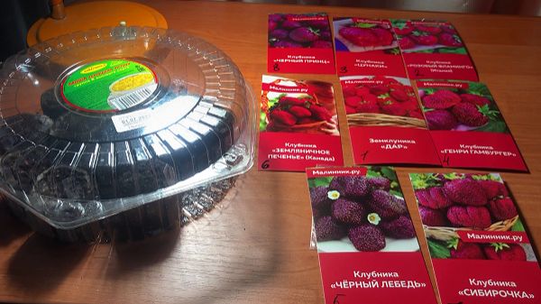 Для лучшей всхожести семян. Посев клубники и некоторых цветов. смотреть онлайн