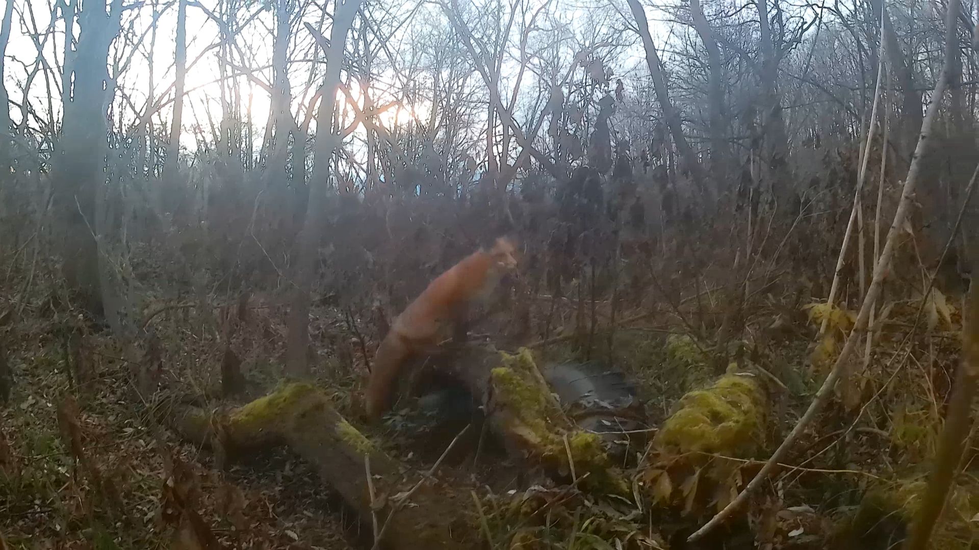 Редкая тяжёлая деталь большого горного оборудования смотреть онлайн