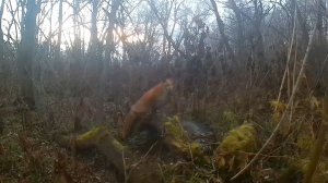 Редкая тяжёлая деталь большого горного оборудования