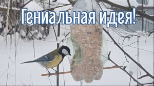 Почему я Раньше до этого не додумался, Как сделать Кормушку для птиц за 4 минуты!