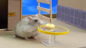 хомяк в мире майнкрафт