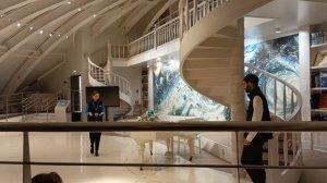 библиотека музея мирового 🌊