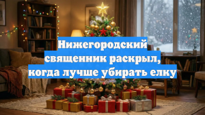 Нижегородский священник раскрыл, когда лучше убирать елку