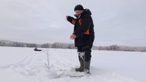 Проверка самоловок после двухнедельных морозов.