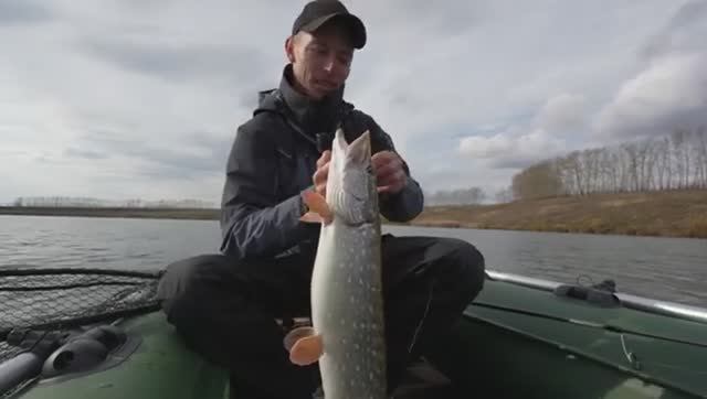 Это сон! ПОПАЛ НА ВЫХОД КРУПНОЙ ЩУКИ! ОСЕННИЙ ЖОР! Рыбалка на спиннинг. смотреть онлайн