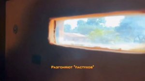 📌Колорит ЦАР, настоящая элита и рабочие будни. Утро Доброе Всем