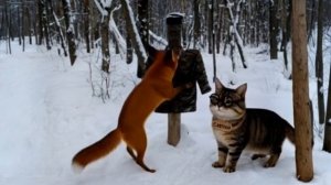 Богатенький Буратино #Буратино #нейросеть #нейроанимация