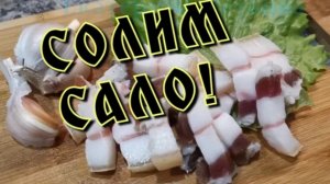 Нежнейшее САЛО! Тает во рту! Сало в рассоле холодным способом.